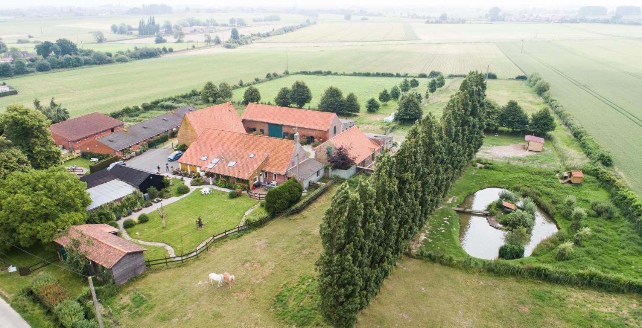 Gîte de La Ferme des Crins Blancs Hazebrouck Extérieur photo